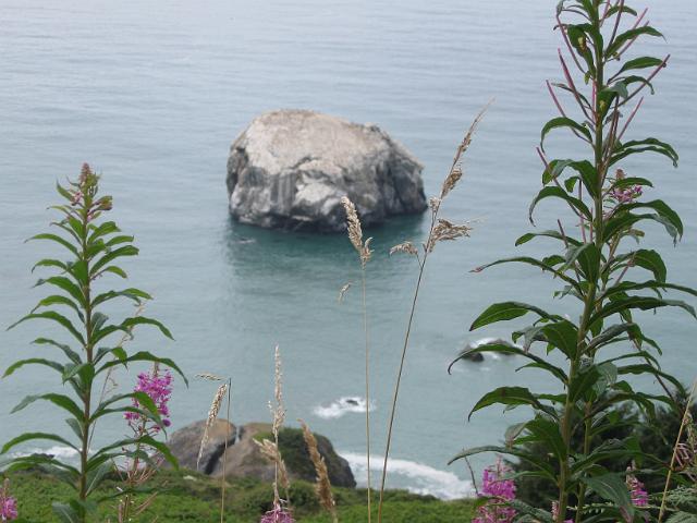 Bolan Mt & Redwoods-168.JPG - Coastal Drive